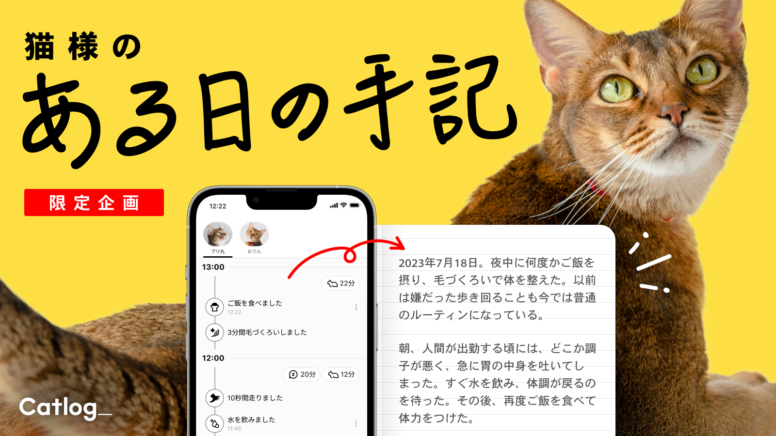 Catlog®のデータが猫様からの日記に！猫様から飼い主さんにあてた『猫様のある日の手記』が届きます(ΦωΦ)