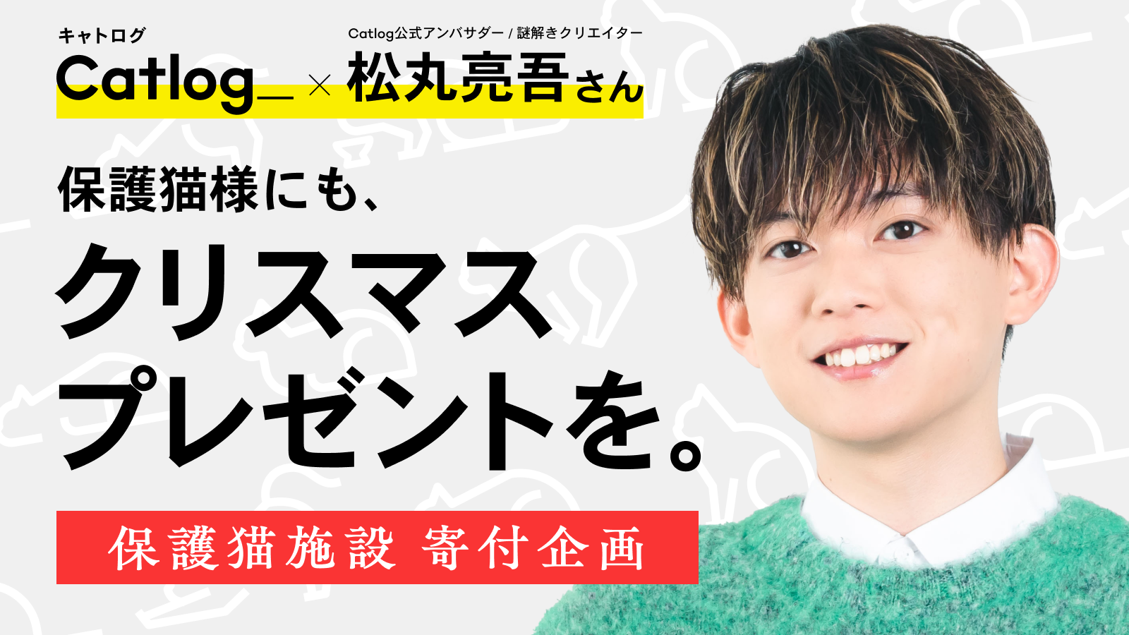 ご愛猫様と保護猫様に、クリスマスプレゼントを。Catlog®︎ と松丸亮吾さんが共同で、公益社団法人アニマル・ドネーションを通じた保護猫施設への寄付企画を実施