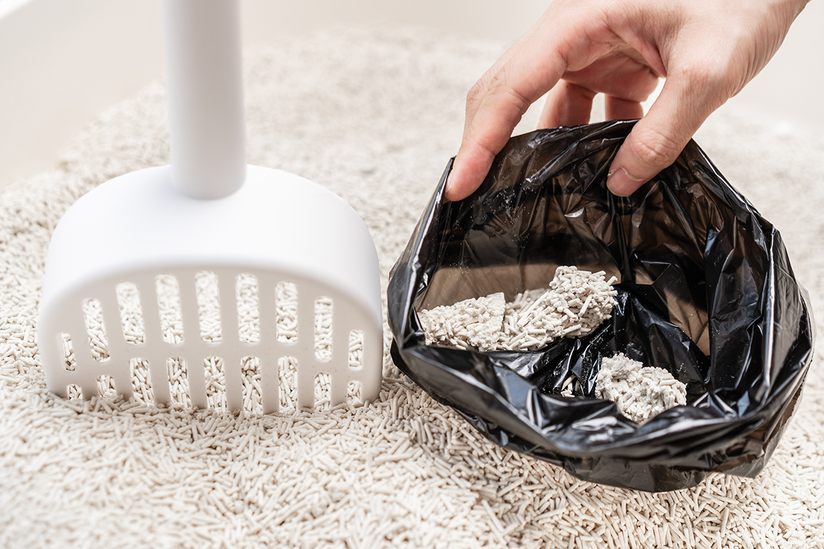 猫用トイレ内のうんちを回収する