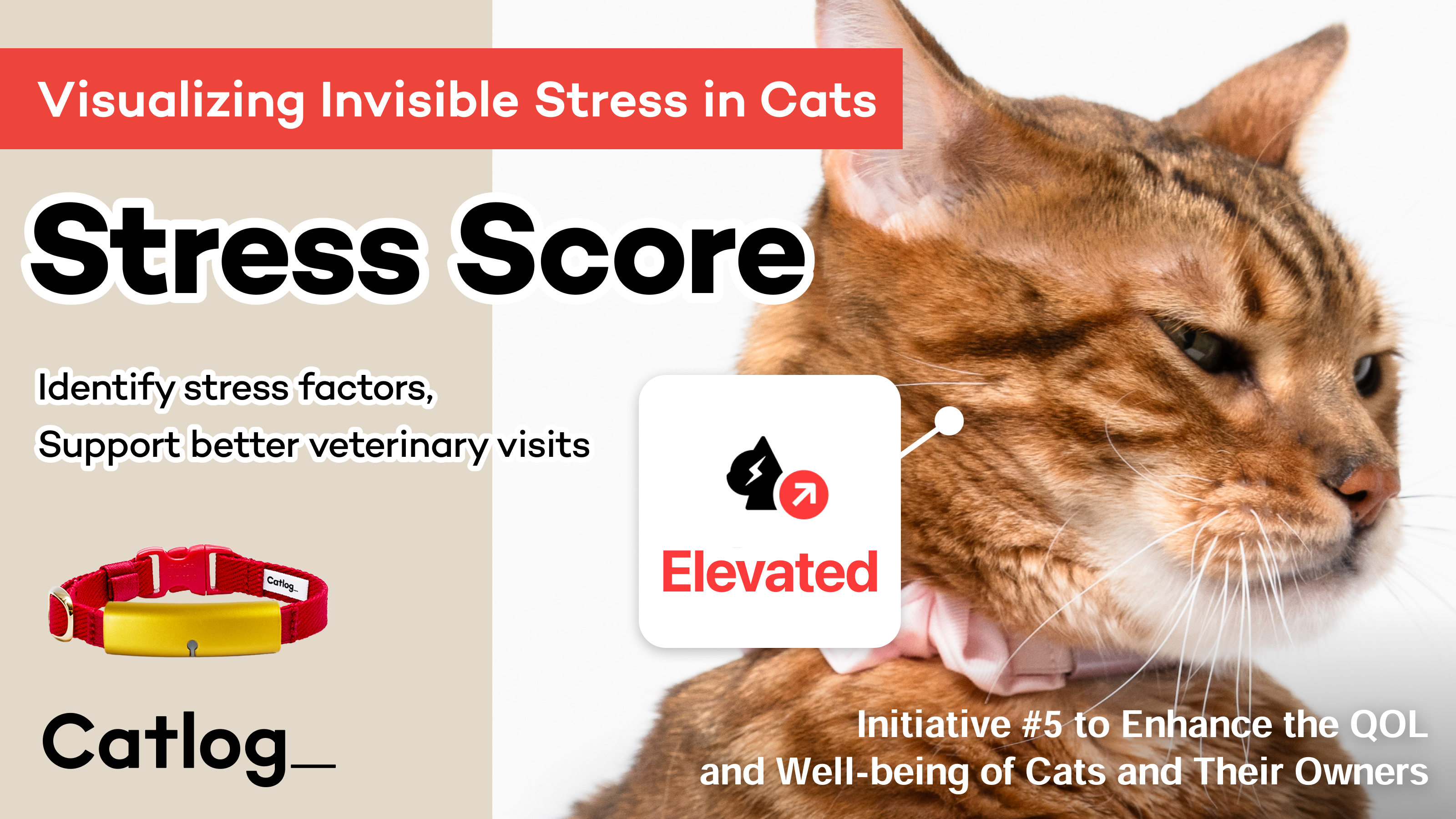 Catlog Launches New "Stress Score" Feature to Visualize Hidden Stress in Cats