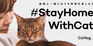 My CatlogをつくってTwitterにシェアしましょう!