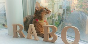 Catlogの筐体モック