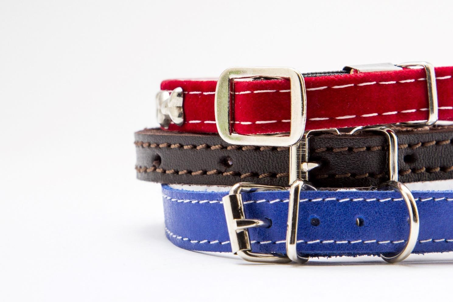 猫用首輪のイメージ