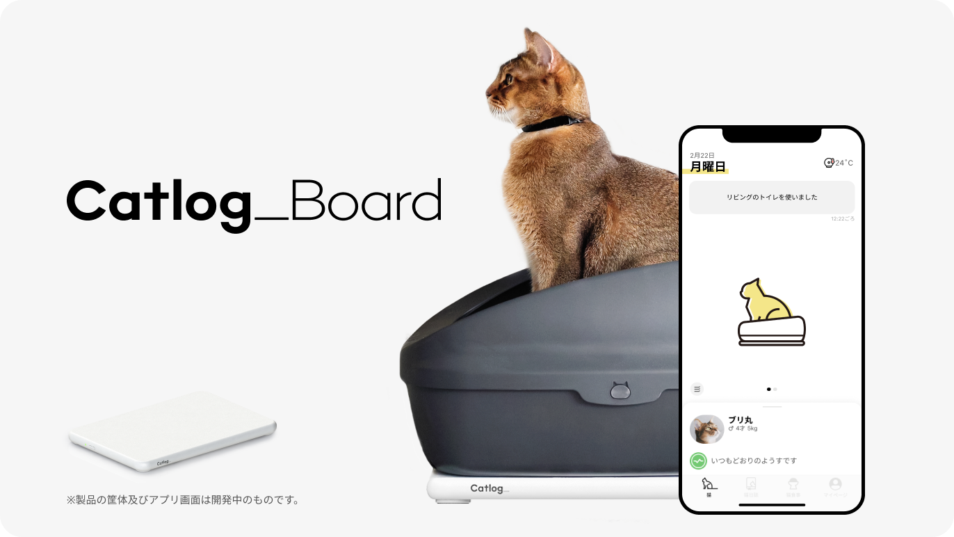猫のトイレ回数の平均は 頻度が多い 少ない場合の病気の可能性と対処法を解説 猫様のいる暮らし 猫のトイレ回数の平均は 頻度が多い 少ない場合の病気の可能性と対処法を解説 猫様のいる暮らし