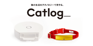 Lサイズ 数量限定再販のお知らせ