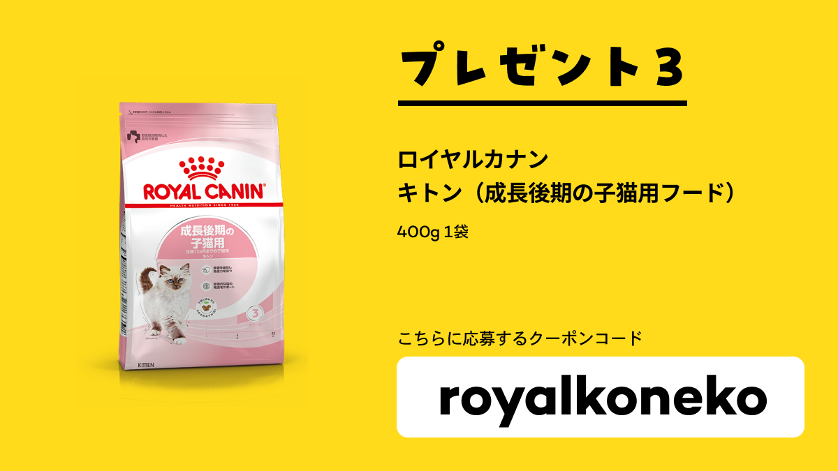 プレゼント3 ロイヤルカナン キトン（成長後期の子猫用フード 400g）【royalkoneko】