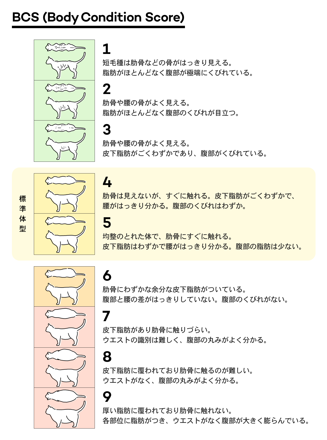 ボディコンディションスコア(BCS)