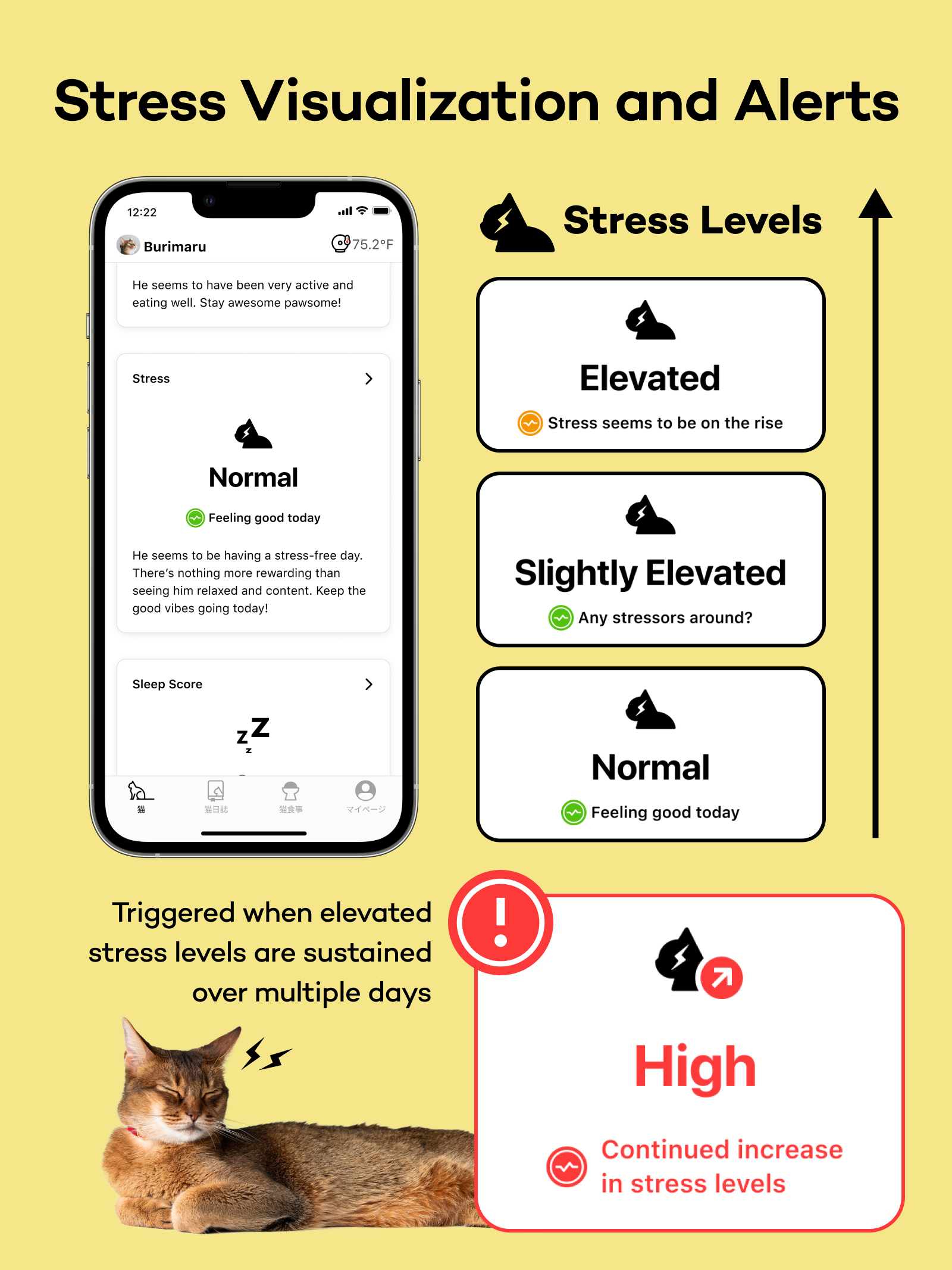 StressScore-2025-07-17-2