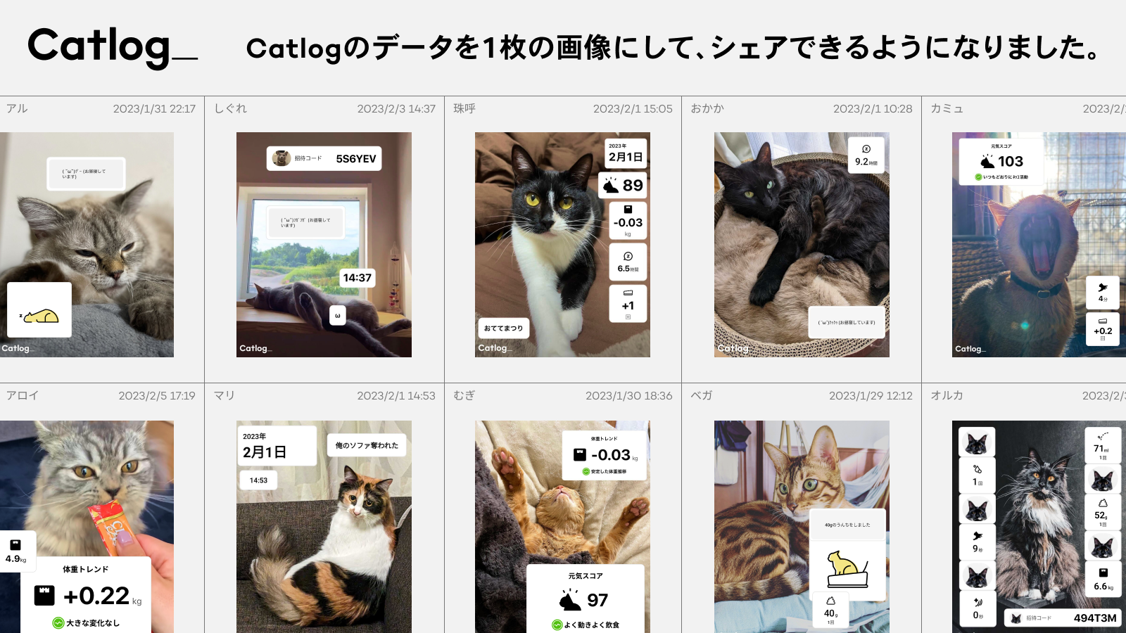 Catlogのデータを1枚の画像にして、シェアできるようになりました