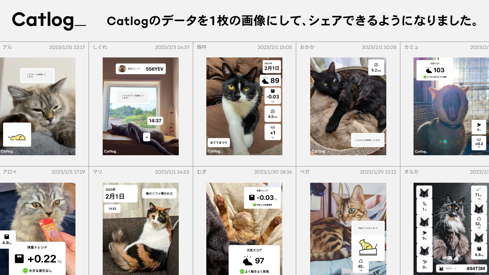 Catlog®︎アプリで猫様データのステッカーやお好きな写真などを組み合わせたオリジナル画像を作成し、簡単にシェアができるようになりました!リアルタイムな猫様の様子のシェアや、毎日の健康記録にも。