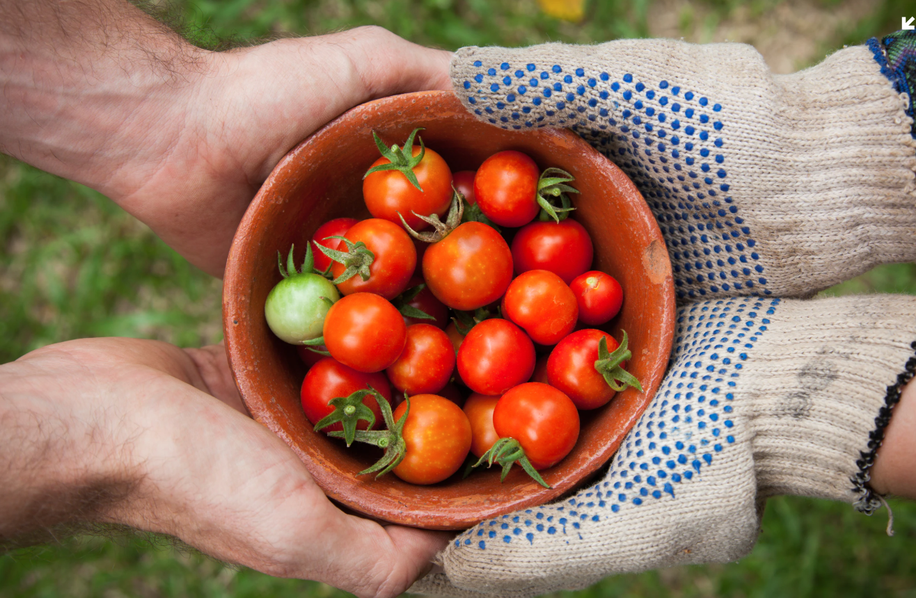 Photo by Elaine Casap on Unsplash