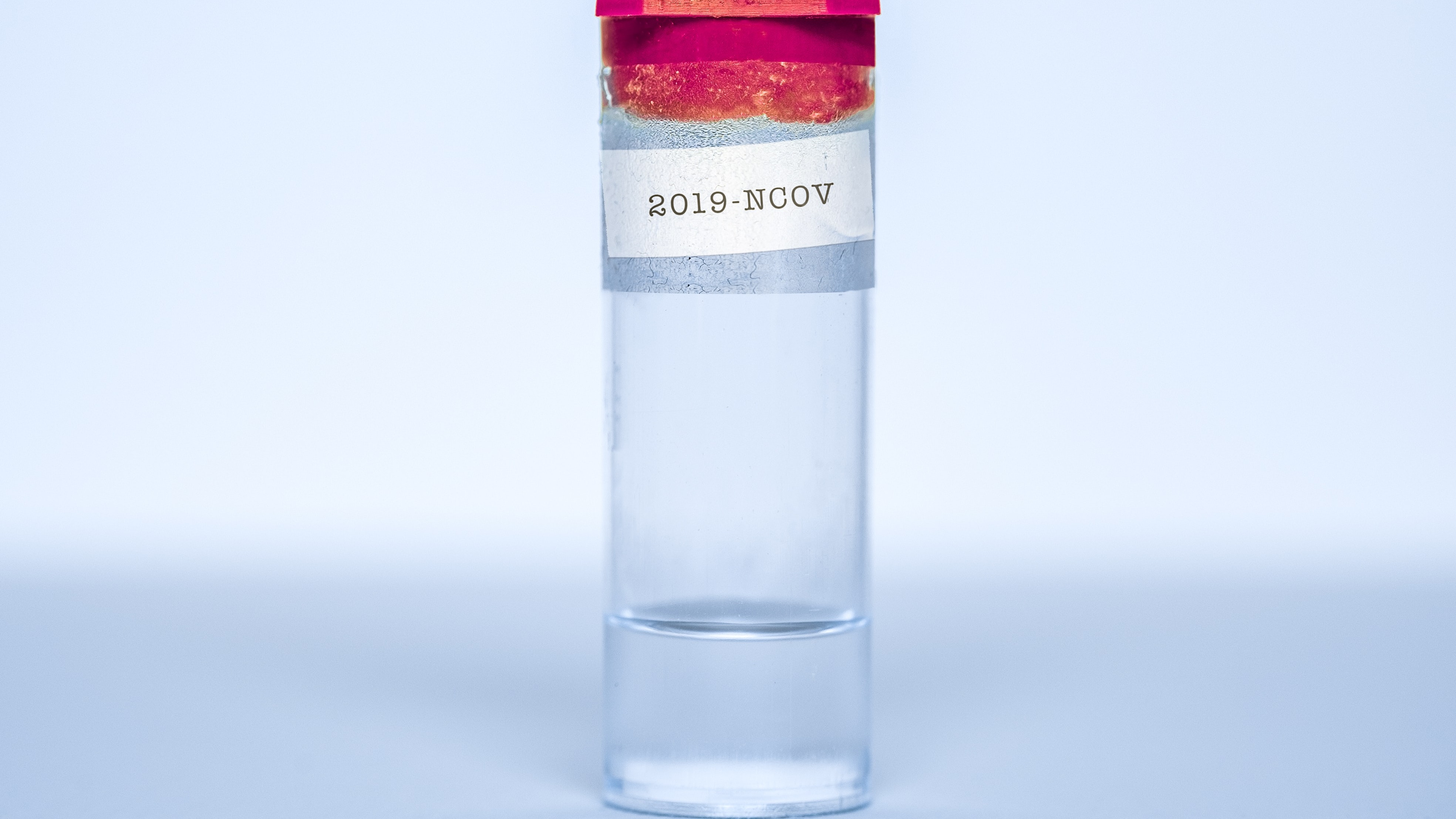 Photo by Vincent Ghilione on Unsplash