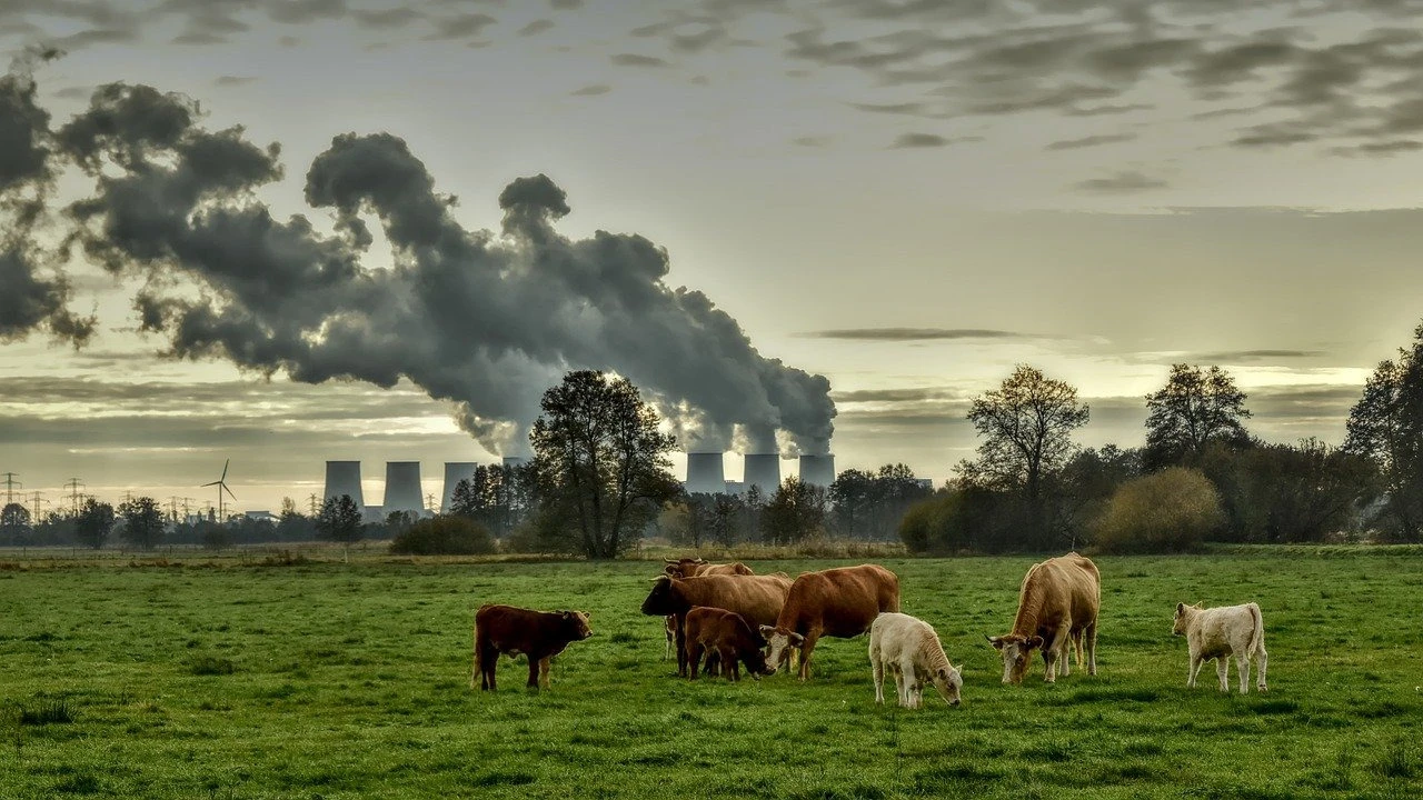 farm scene - cows and industry