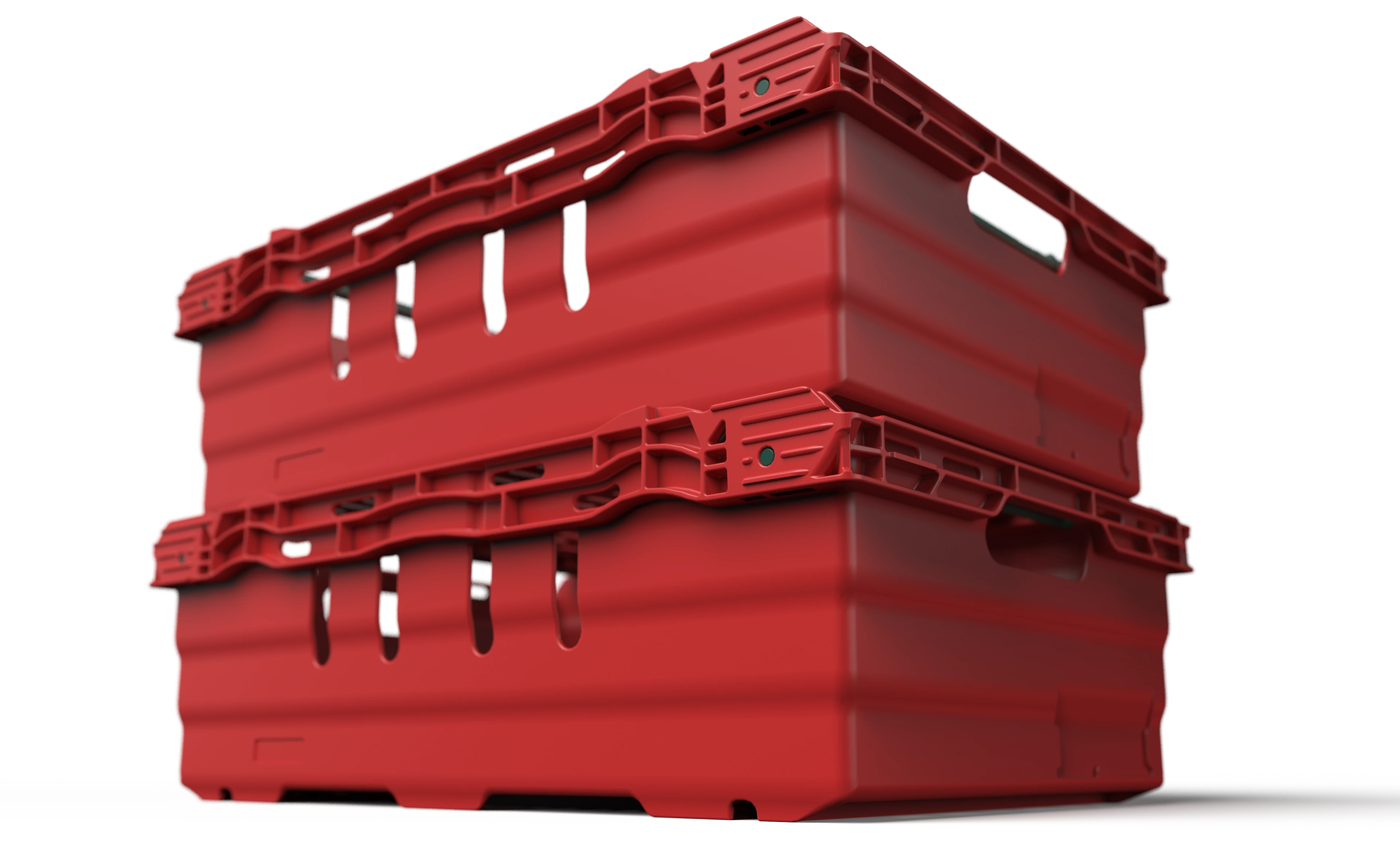 Product cat - Maxinest