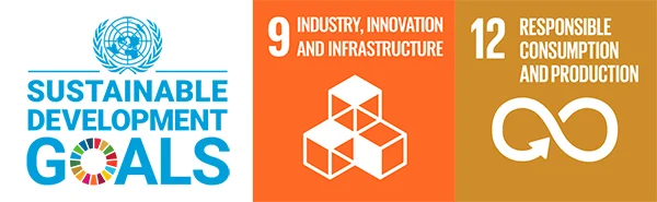 UN Sustainable development goals