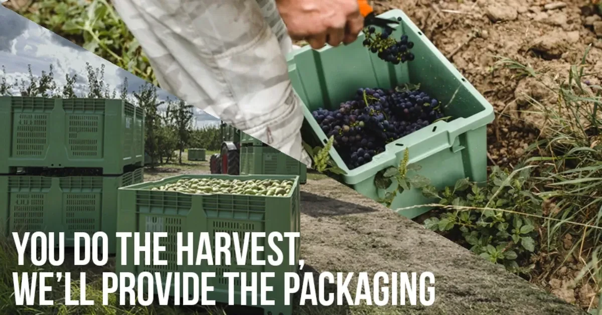 Produce must be kept fresh and handled delicately all through its supply chain, from harvest through auction, processing and storage, to point of sale. That’s a challenge Schoeller Allibert has accepted since 1970, when we started providing innovative and sustainable packaging for agriculture, horticulture and even viticulture.