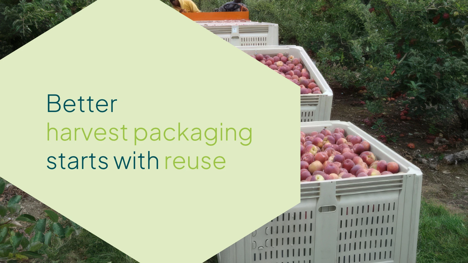 Blog post Designs - Harvest Bins