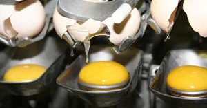 Combo Life in de eierverwerkende industrie