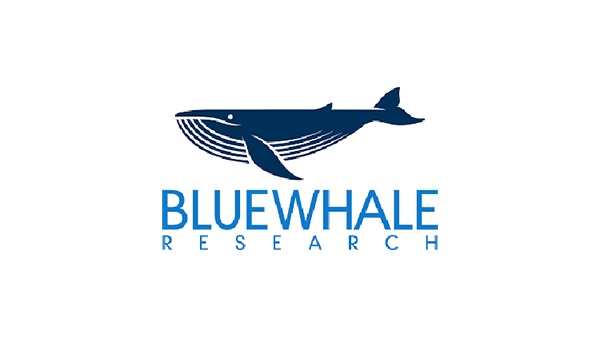 blue-whale-research