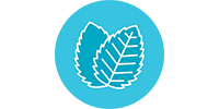 icon-wintergreen.png