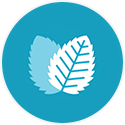 Leaf Icon