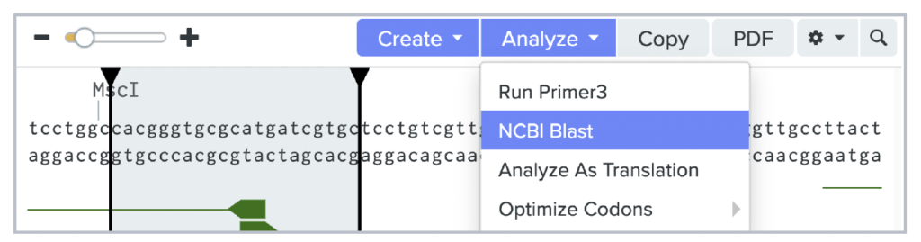 Figure 9. NCBI Primer Blast Tool in Benchling