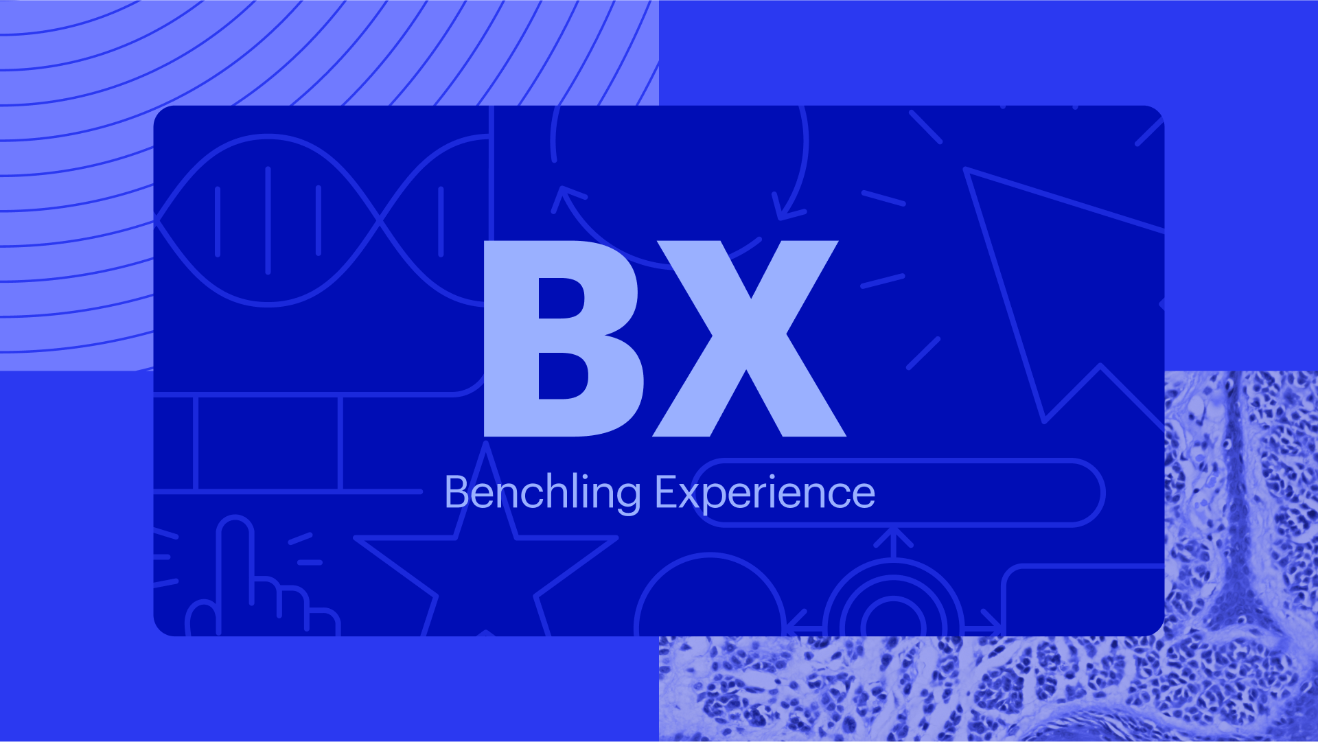 Benchling Experience updates 2023_Blog.png