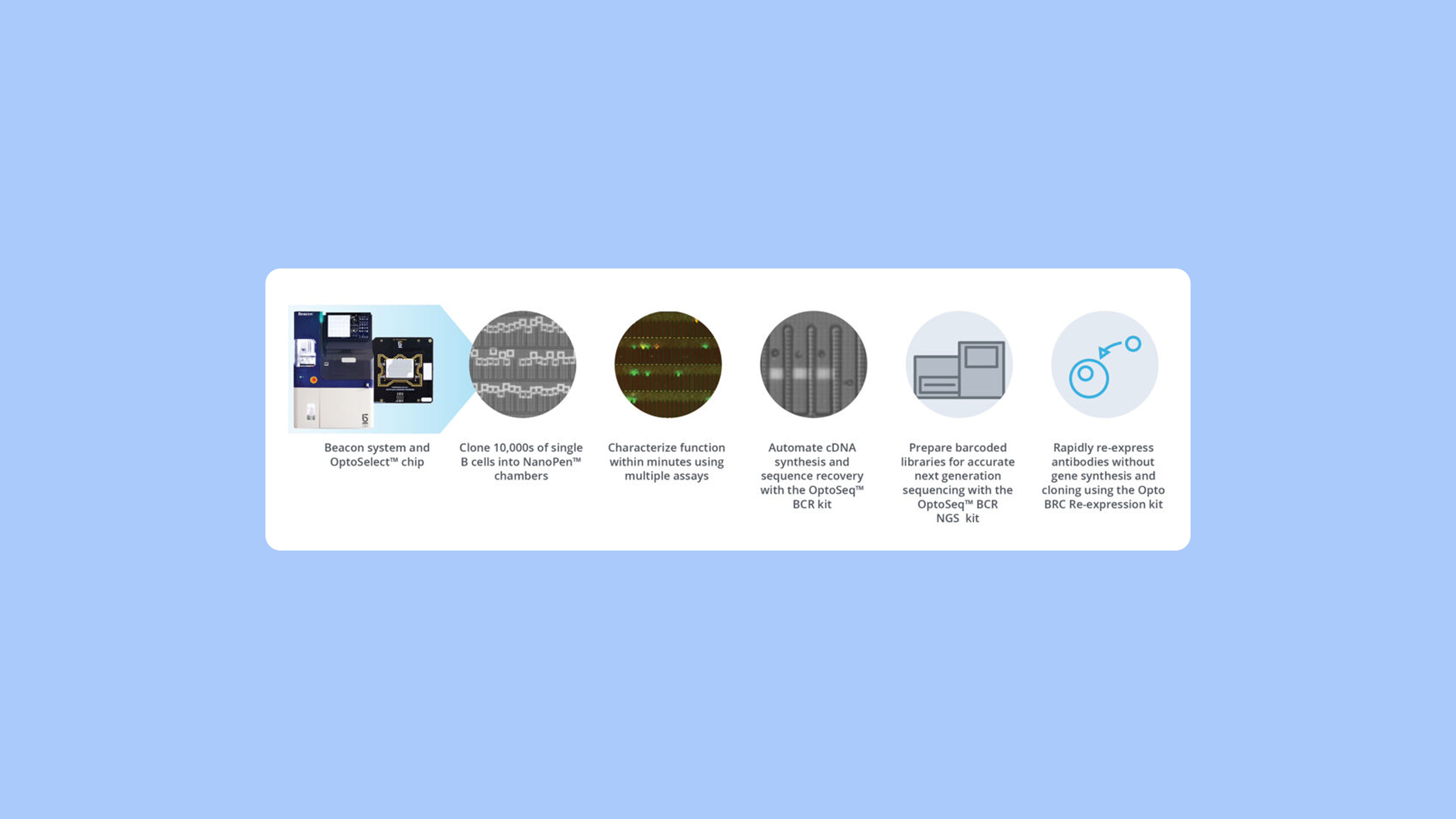 Pipebio - Single-cell sequencing technologies in antibody research - Image 2
