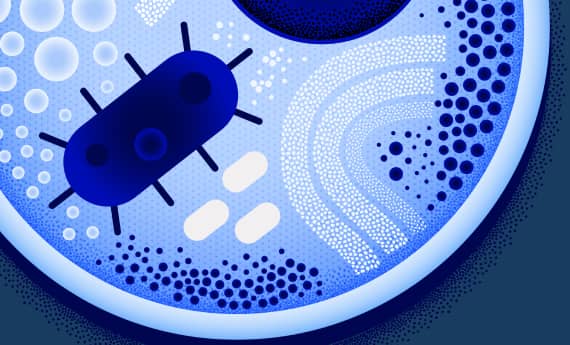 petri dish illustration