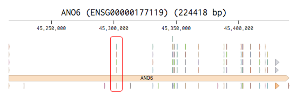 2016-02-ano6_transcript_benchling.png