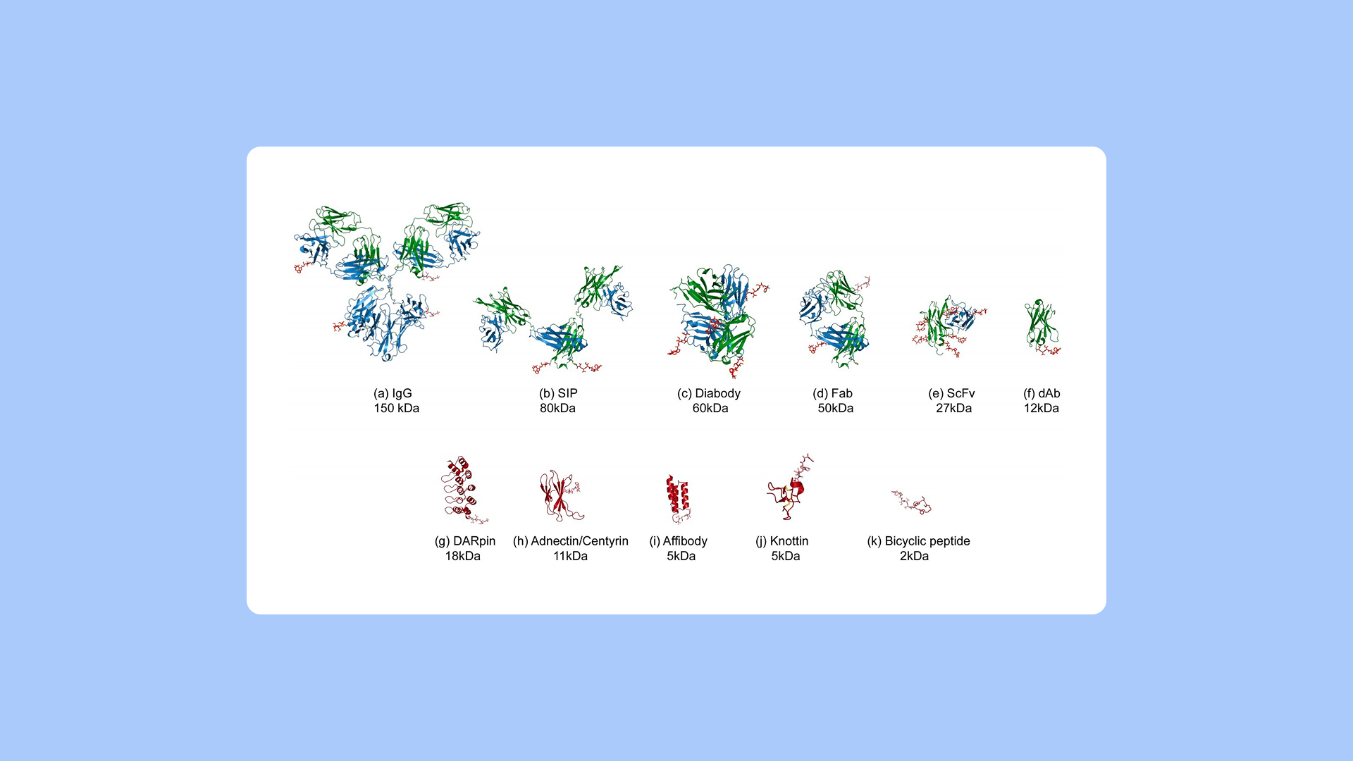 PipeBio - Nanobodies – A potent alternative in antibody therapeutics - Image 13