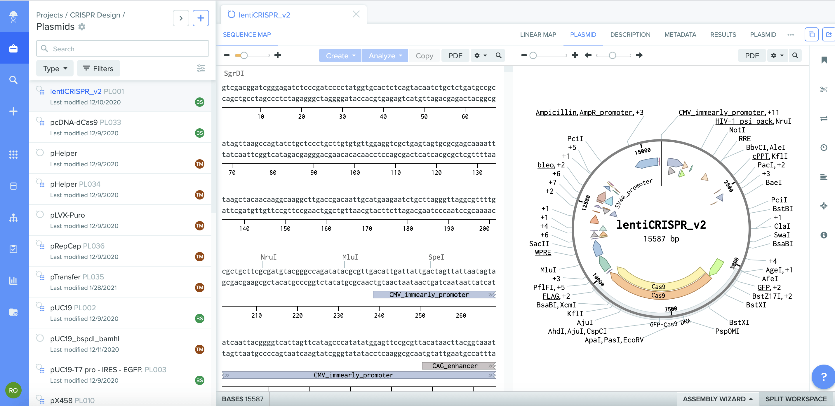 Gene-therapy-2-Clone-plasmid.png