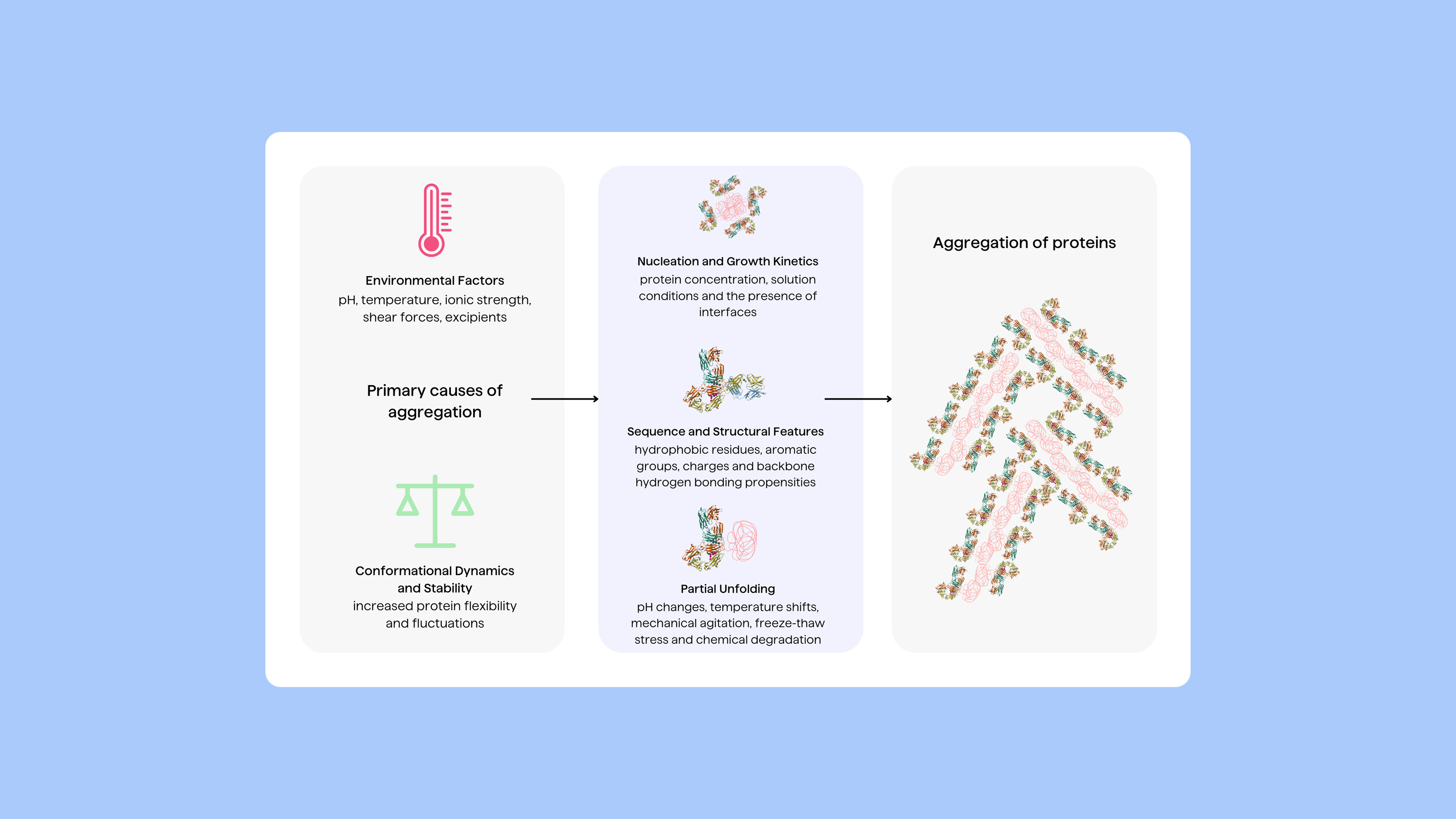 PipeBio - Protein aggregation challenges and mitigation - Image 3