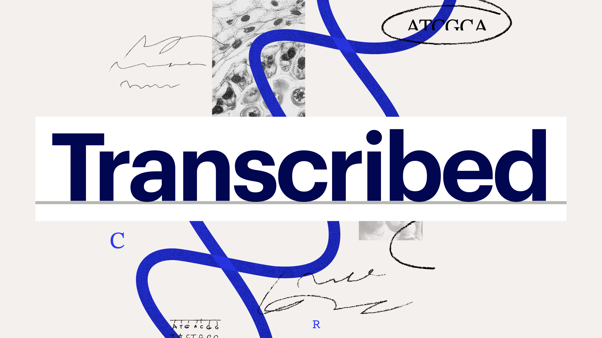 Transcribed Logo OG