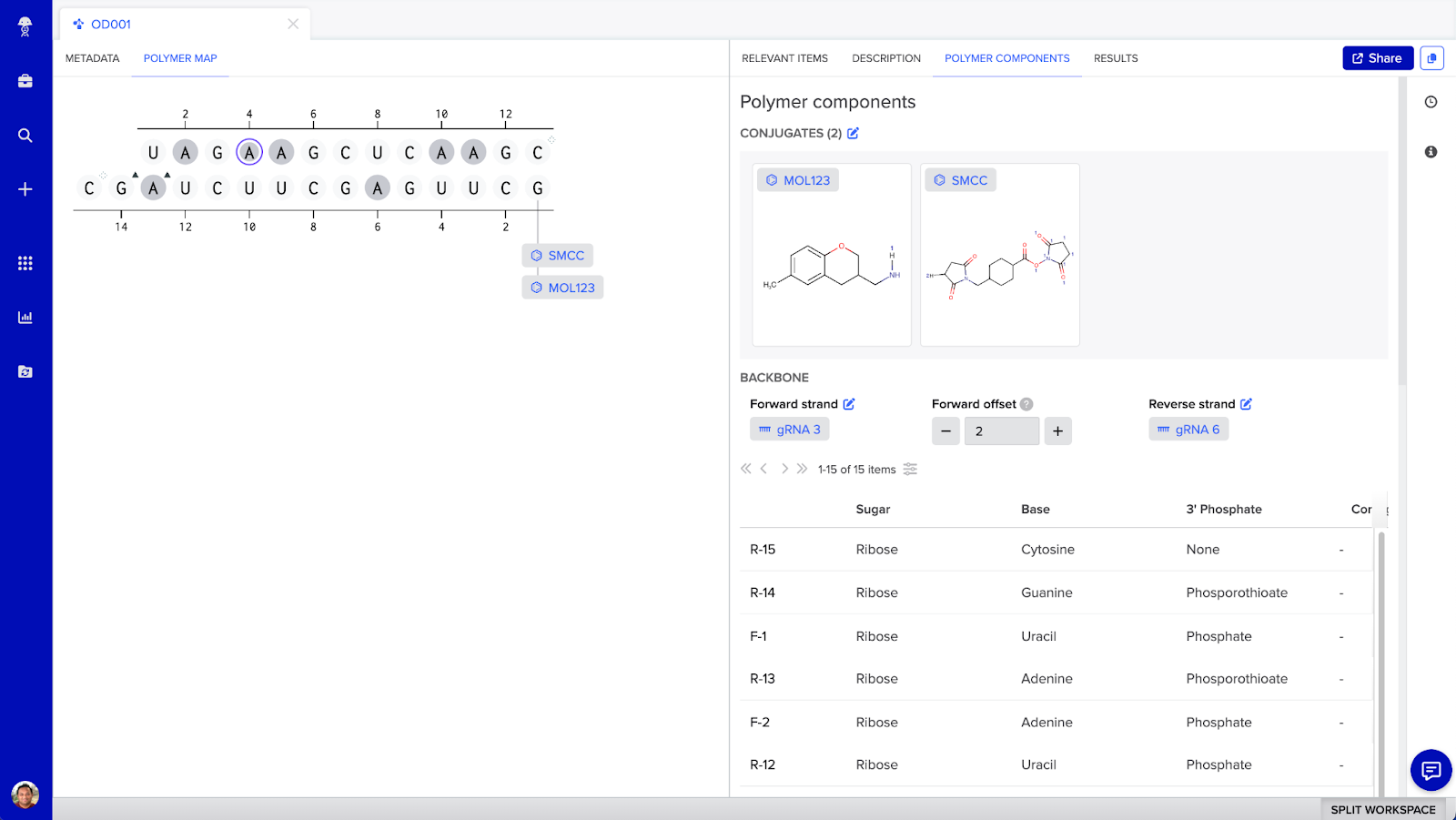 siRNA conjugate visual map