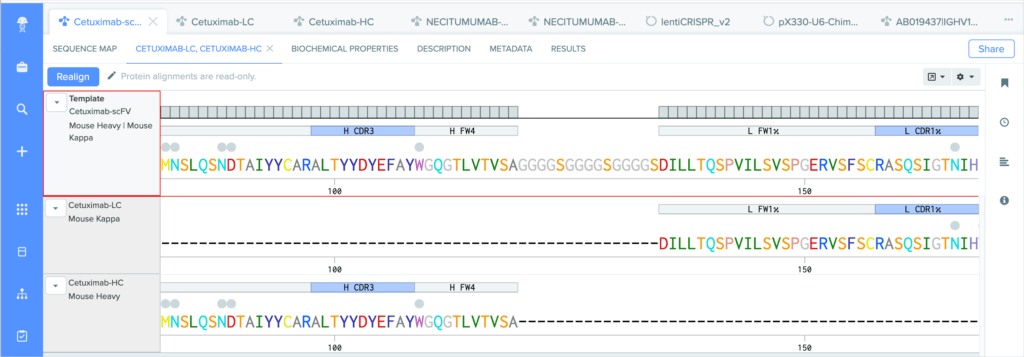 Benchling-Cetuximab-Protein-Alignment-CDR-and-Sequence-Liabilities-Annotation-screenshot_cropped-border-1024x357.png