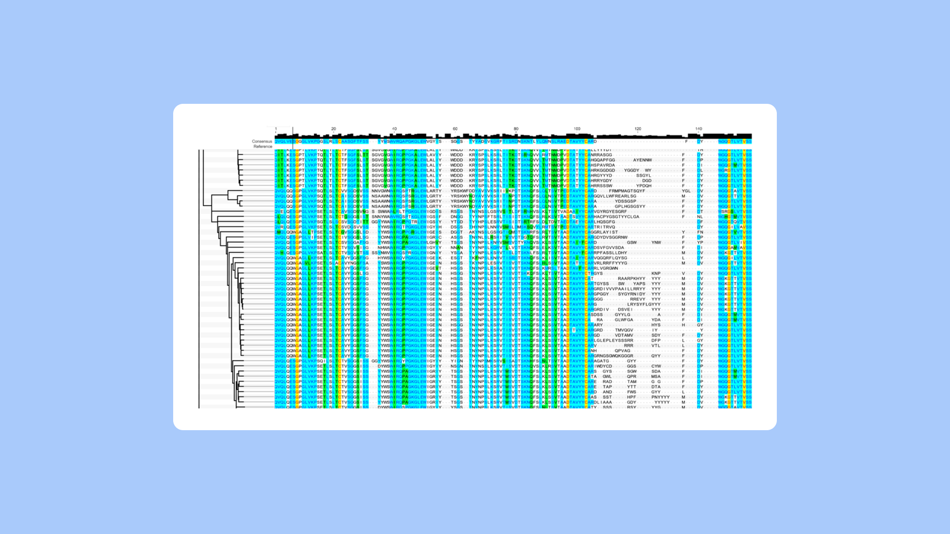 PipeBio - Single-cell sequencing technologies in antibody research - Image 5