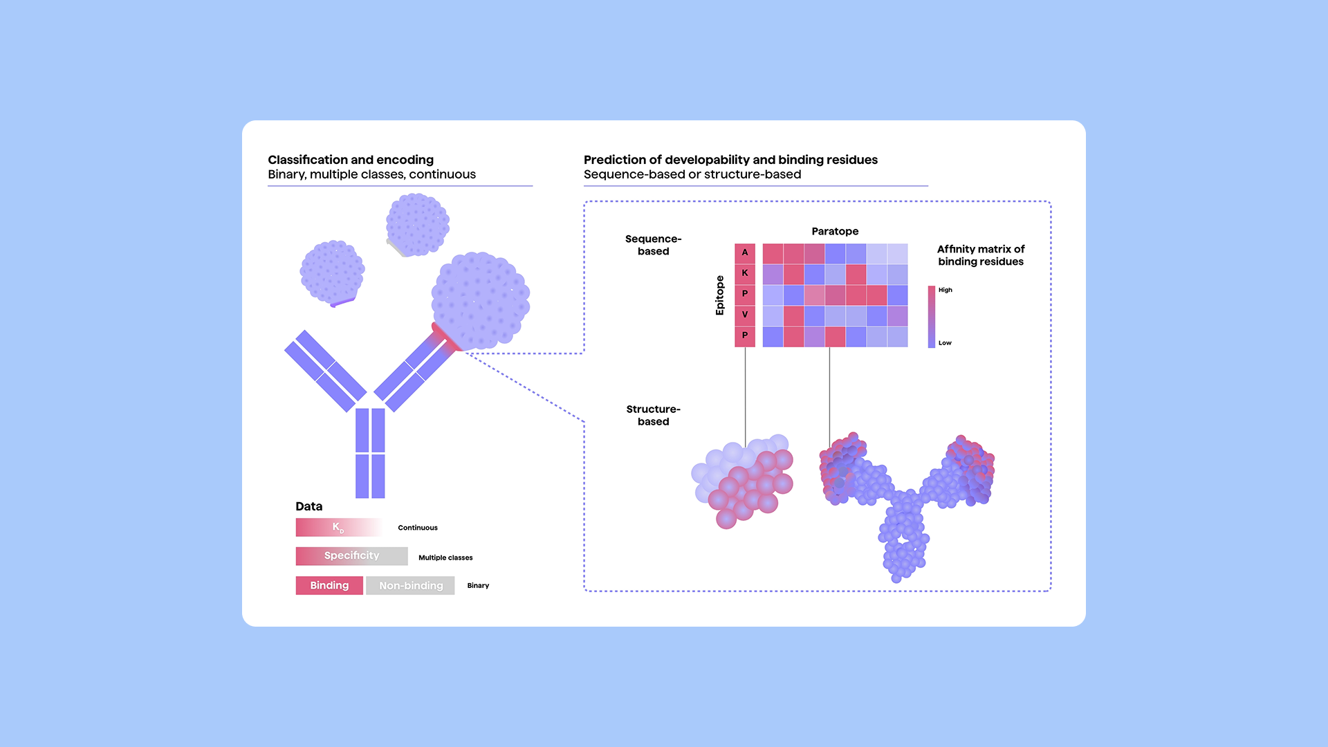 PipeBio - Machine learning in antibody discovery and engineering - Image 2
