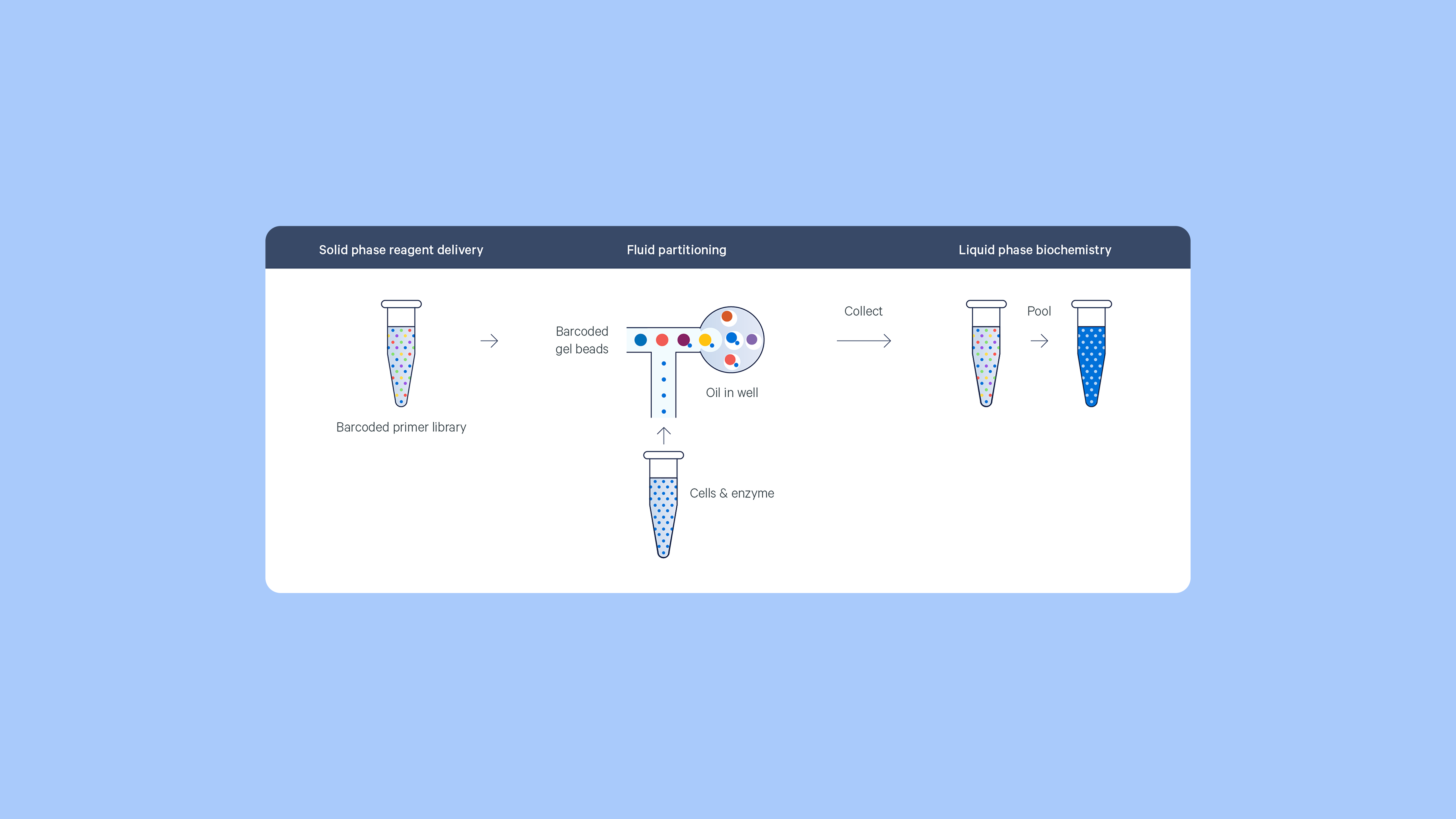 Pipebio - Single-cell sequencing technologies in antibody research - Image 1