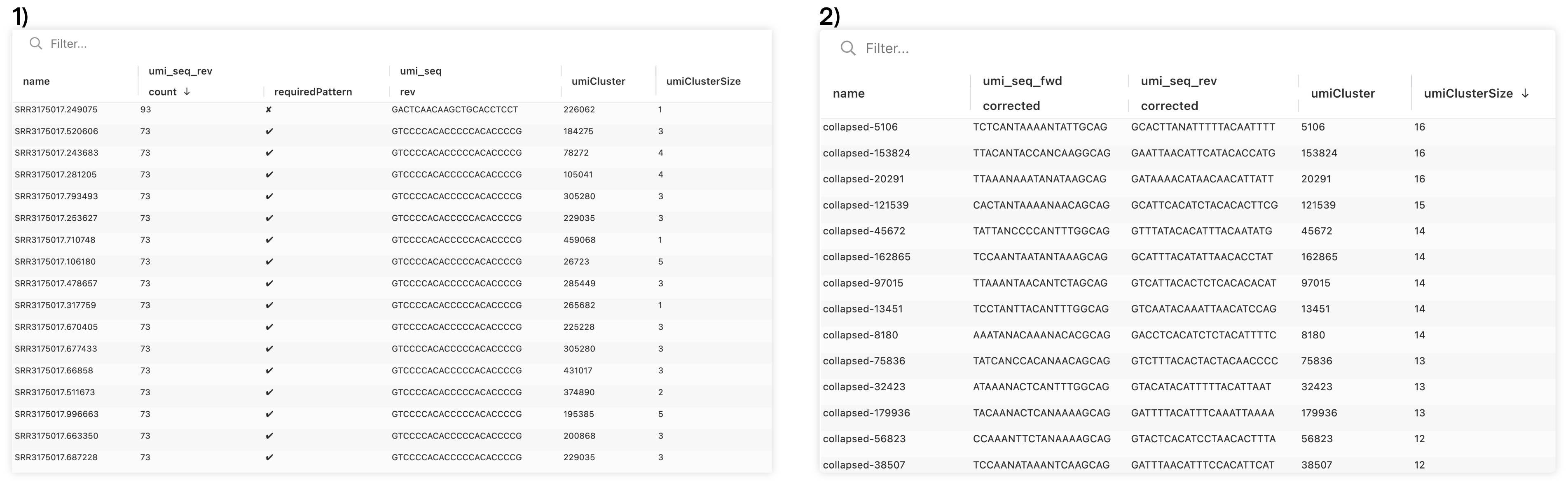 Pipebio Imaage - Figure 4. 1) Individual sequences and assignment to UMI clusters 2) Collapsed UMI clusters