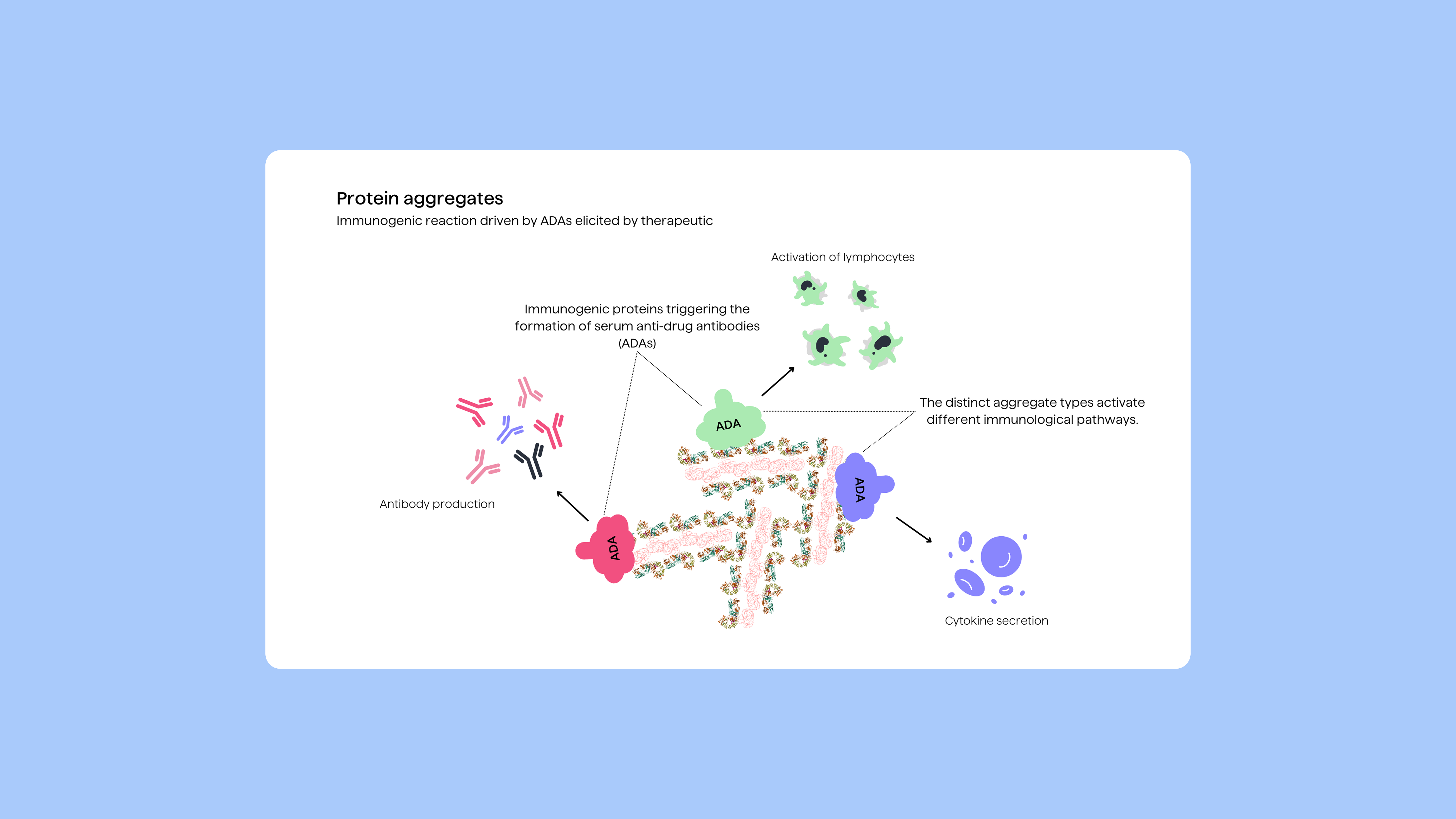 PipeBio - Protein aggregation challenges and mitigation - Image 3