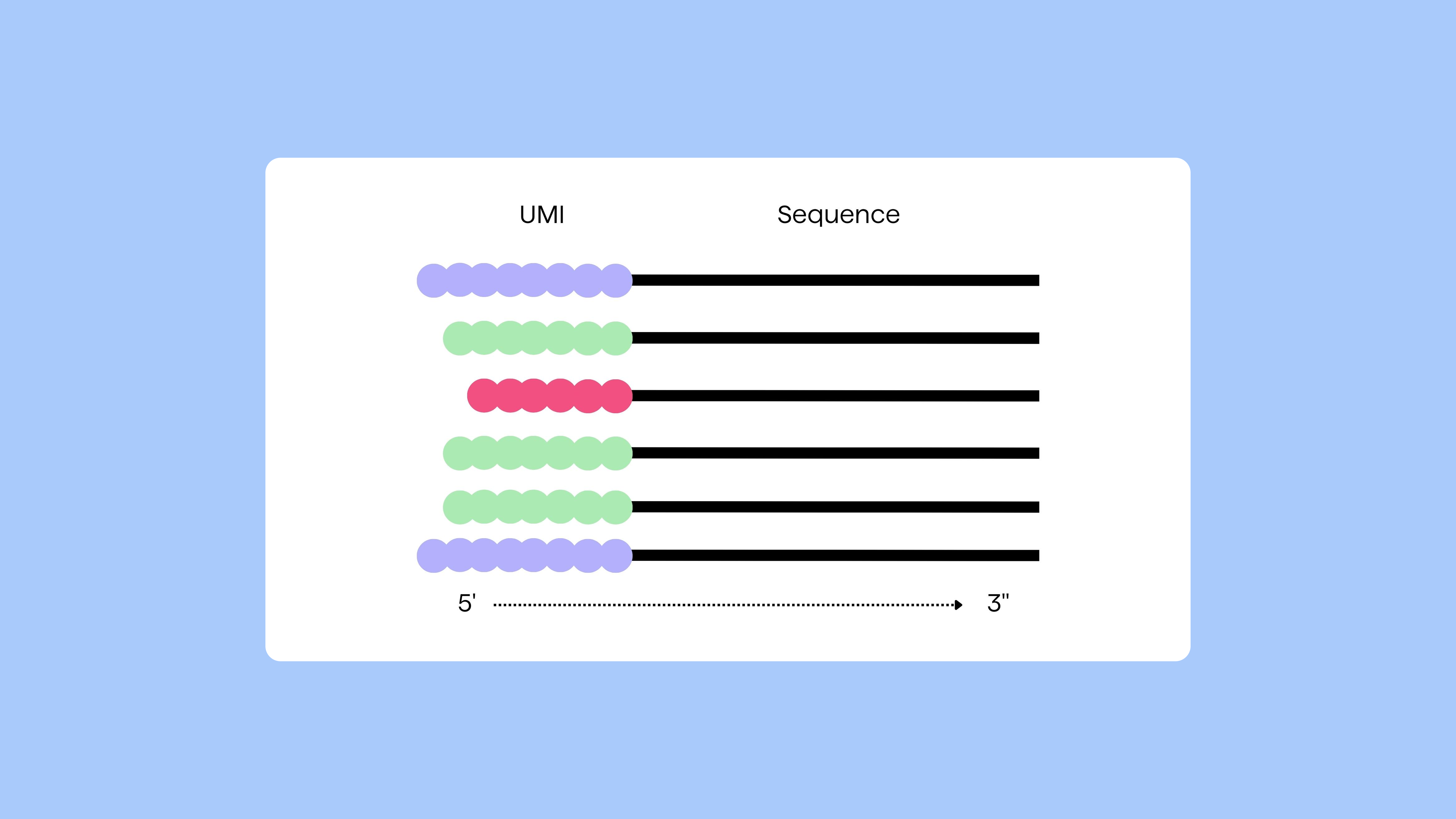 Pipebio Image - Figure 2. Workflow for adding UMIs to molecules before sequencing.