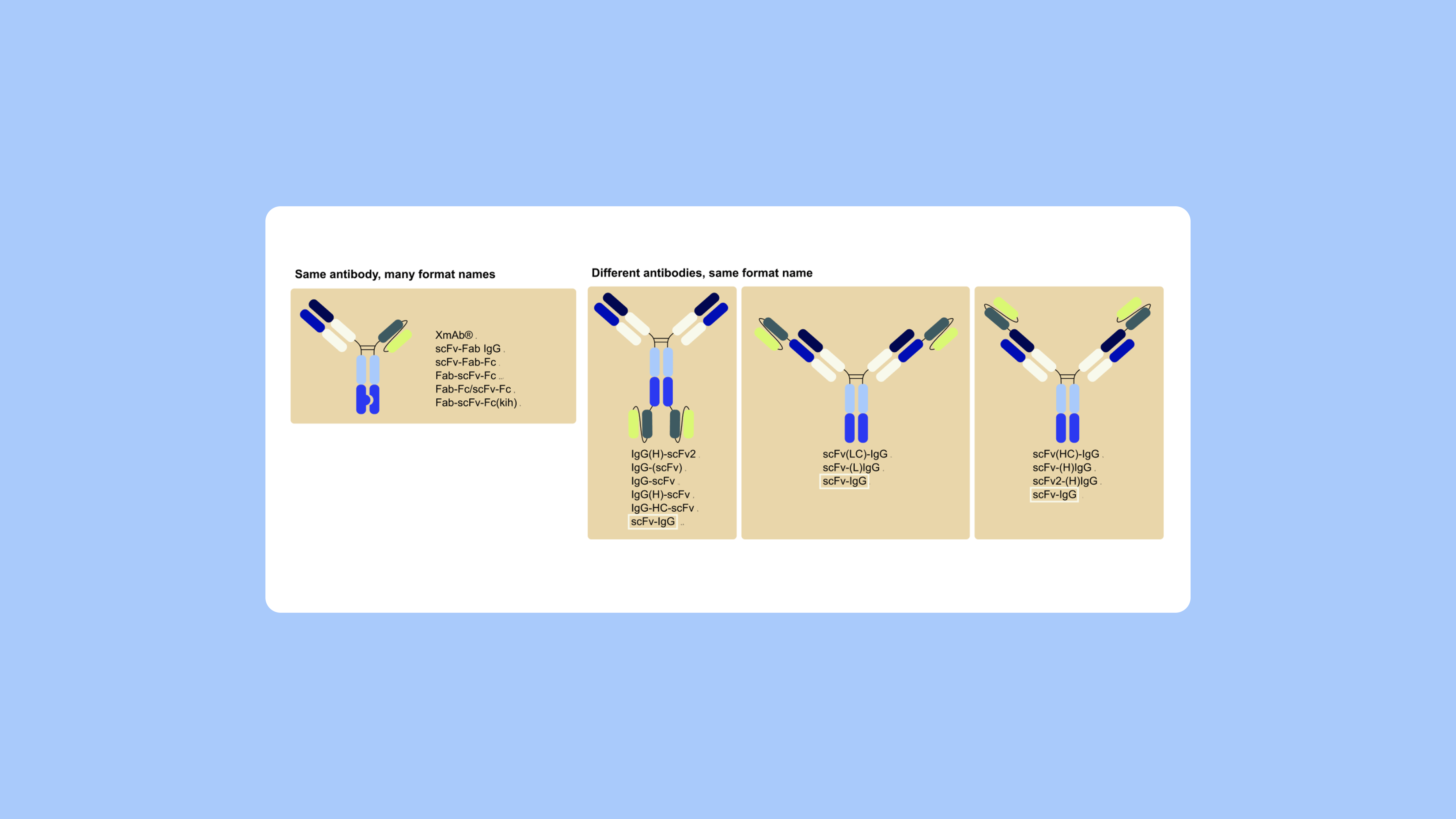 Pipebio Image 2 - Standardizing antibody therapeutic nomenclature: Why it matters