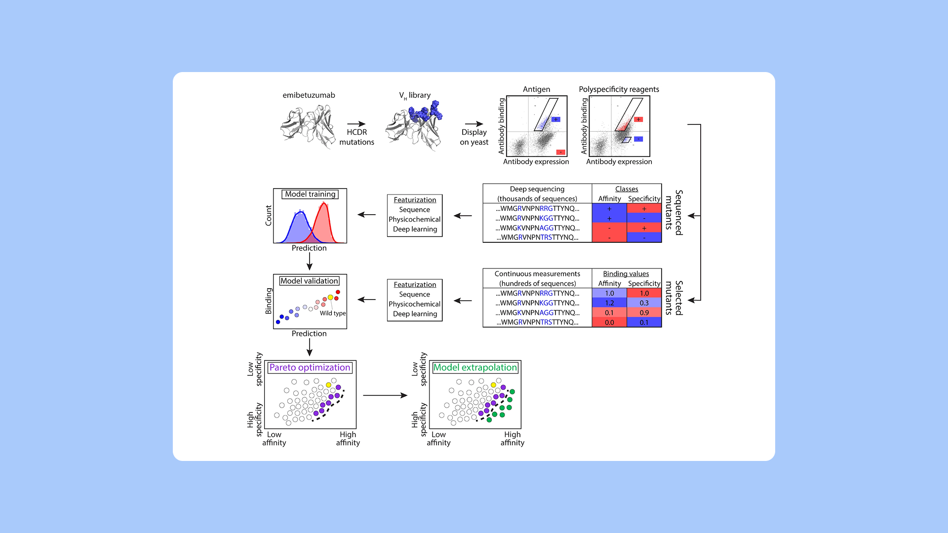 PipeBio - Machine learning in antibody discovery and engineering - Image 3