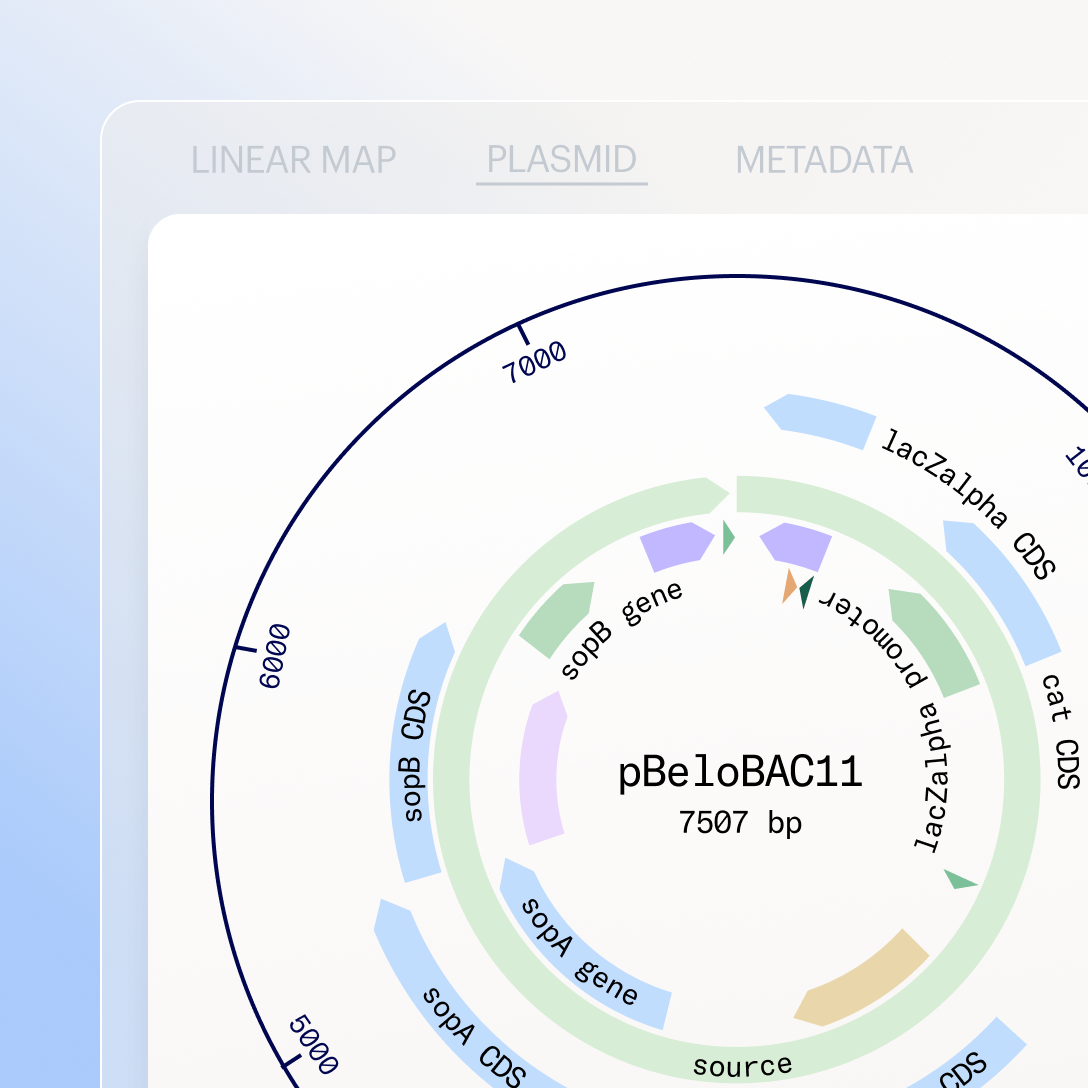 Visualize Sequences Molecular Biology Product Image