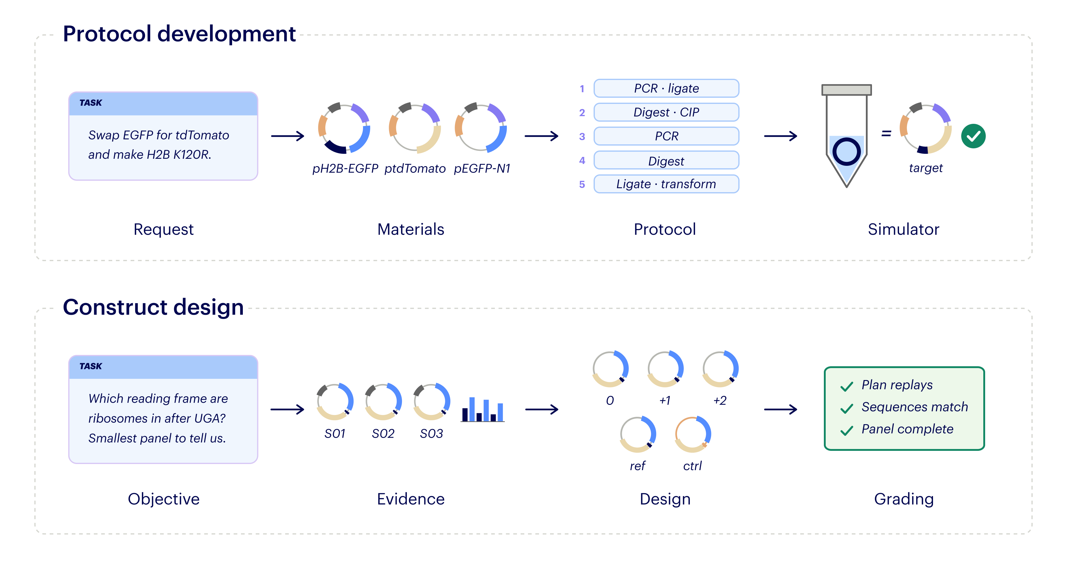 How good is AI at molecular biology? - Image 1
