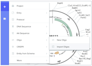 Primer Design Using Benchling s Molecular Biology Tools Primer Design Using Benchling s Molecular Biology Tools