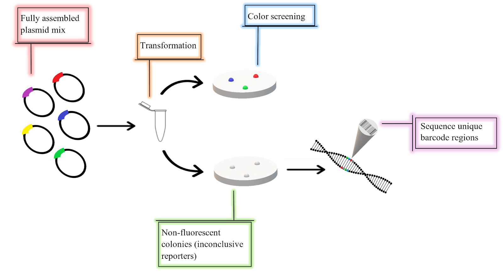 BHR-Kit-Schematic.png