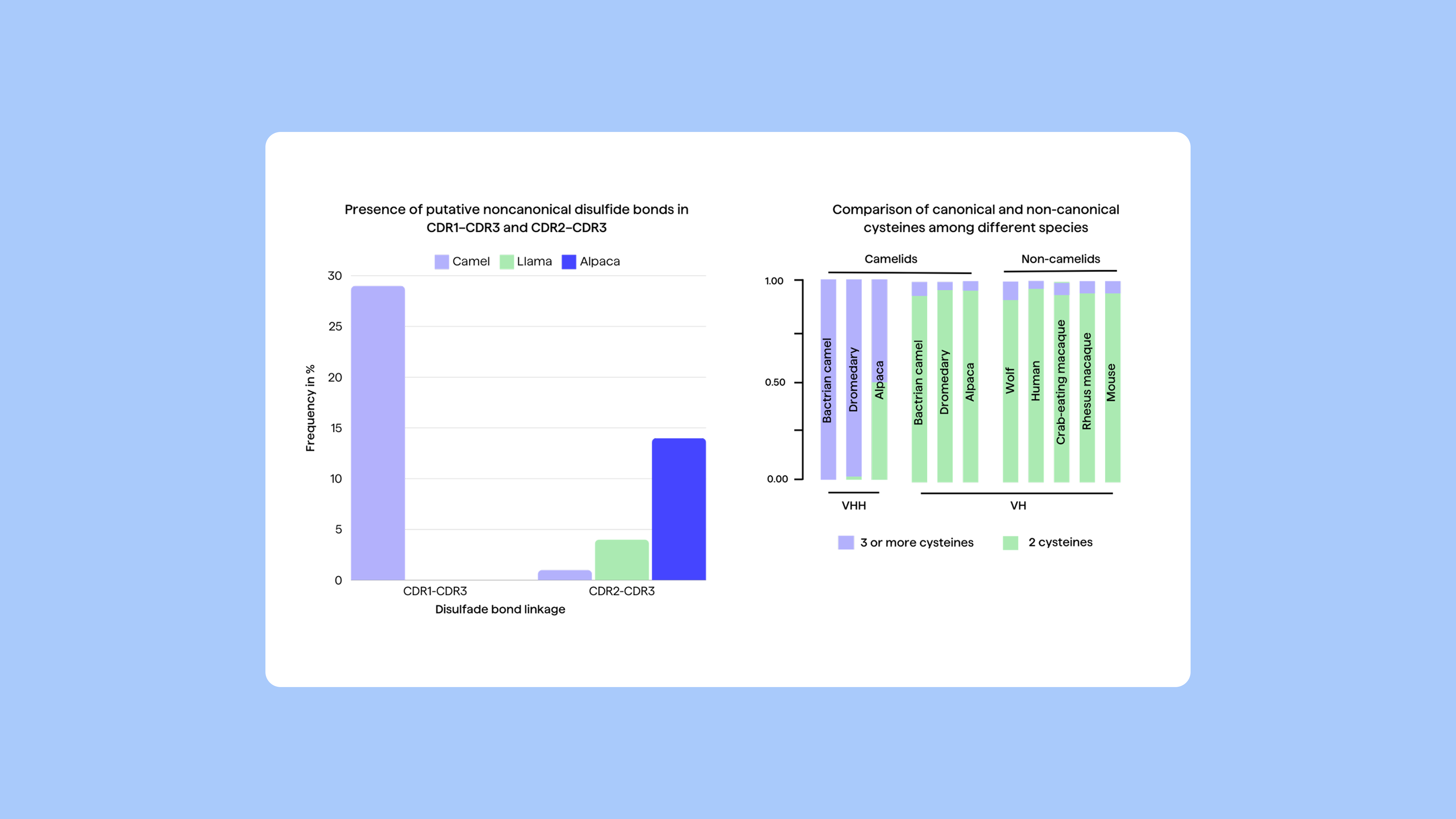 PipeBio - Non-canonical cysteines in antibody repertoires: from camelids to humans - Image 5