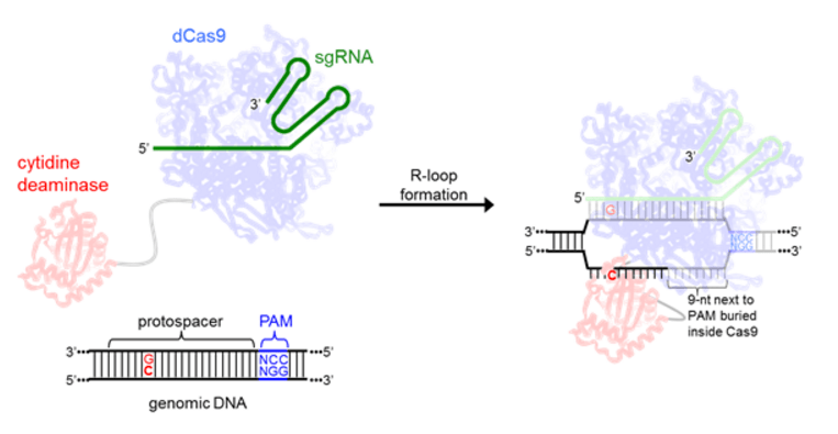 Rescuing Inhibited Samples with the ForenSeq Enhanced Buffer System, ePCR1